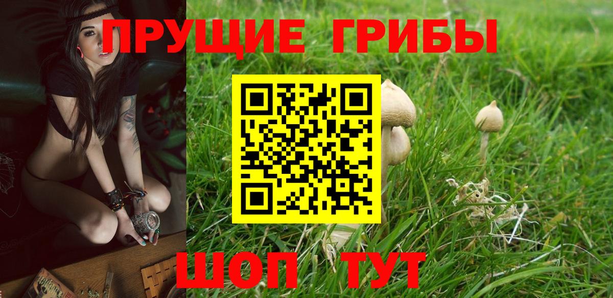 Псилоцибиновые грибы MAGIC MUSHROOMS  Вход с VPN  Псилоцибиновые грибы Magic Shrooms  Ялта 